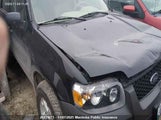Ford Escape Xlt 1FMYU93166KD02031 снимка