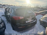 Infiniti Ex35 JNKAJ09F99M950385 снимка