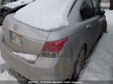 Honda Accord Ex-L 1HGCP268X8A800300 снимка