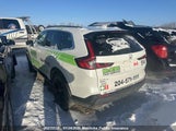 Honda Cr-V Touring Hybrid Touring Hybrid 2HKRS6H90SH206688 снимка