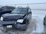 Hyundai Santa Fe Gl KM8SB73D46U093922 снимка