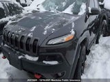 Jeep Cherokee Trailhawk 1C4PJMBS4GW202218 снимка