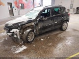 Volkswagen Tiguan 2.0 Tsi WVGJV3AX4EW549154 fotografie