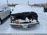 Chevrolet C/R 10/ Pickup 2GCDC14H9J1302858 fotografie