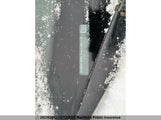 Ford Focus Sel 1FAHP3H21CL136779 снимка