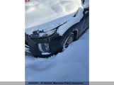 Hyundai Palisade Ultimate KM8R5DHE3LU164089 снимка