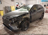 Toyota Rav4 Xle Hybrid 2T3RWRFV9LW047170 fotografie