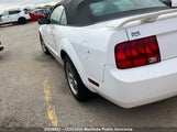 Ford Mustang 1ZVFT84N365253828 снимка