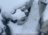 Toyota Matrix 2T1KU40EX9C075162 снимка