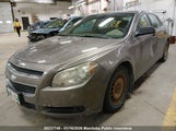 Chevrolet Malibu 1G1ZB5EU8BF141644 снимка