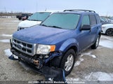 Ford Escape Xlt V6 1FMCU93G19KB60223 снимка