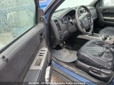 Ford Escape Xlt V6 1FMCU93G19KB60223 снимка