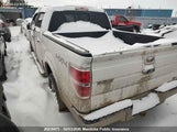 Ford F-Series 1FTFW1EV9AFA73093 снимка