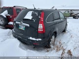 Honda Cr-V Ex 5J6RE48509L810332 снимка