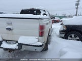 Ford F-Series 1FTFW1EF8DFB32633 снимка
