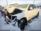 Dodge Ram  Sport Crew Cab 1C6SRFVT5MN735898 снимка