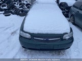 Chevrolet Malibu V6 1G1ND52J83M718852 снимка
