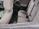 Toyota Rav4 Limited JTMBD31VX75051656 снимка