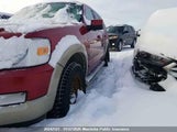 Ford Explorer Eddie Bauer 1FMEU74E87UB07871 снимка