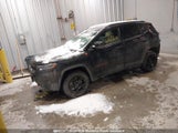 Jeep Compass Trailhawk 3C4NJDDN5RT592401 photo