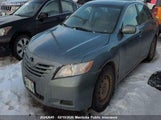 Toyota Camry Le 4T1BE46K69U906066 снимка