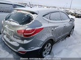 Hyundai Tucson Gl KM8JTCAC7CU369260 снимка