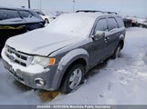 Ford Escape Xlt 1FMCU0D79BKC07188 fotografie