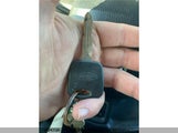 Ford F-Series 1FTRW08L91KC62934 снимка