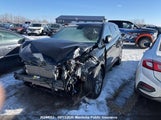 Hyundai Santa Fe Xl KM8SNDHF4HU176415 photo