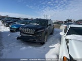 Jeep Cherokee Limited 1C4PJMDS2EW133703 снимка