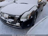 Nissan Maxima Se/Sl 1N4BA41E16C850501 снимка