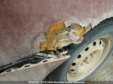 Honda Civic Si 2HGES16885H015045 снимка