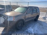 Honda Cr-V JHLRD78464C801566 photo