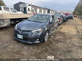 Toyota Corolla Le 2T1BURHE2FC342047 снимка