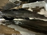 Buick Verano 1G4PS5SKXF4123130 снимка