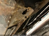 Mazda 6 Mazda Gs 1YVFP80C755M68293 снимка