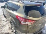 Ford Escape Se 1FMCU9G96EUA72259 снимка