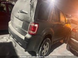 Ford Escape Xlt 1FMCU0D75BKA89043 fotografie