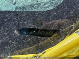 Chevrolet Cruze Ls 1G1PC5SHXC7134833 снимка