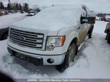 Ford F-Series 1FTVW1ET8DKF39358 снимка