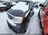 Honda Pilot Exl 5FNYF4H59FB050656 fotografie