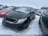Toyota Corolla Ce 2T1BU40E99C128255 fotografie