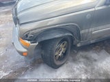 Jeep Liberty 1J4GL58K66W137954 снимка