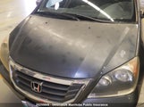 Honda Odyssey Ex 5FNRL38688B503894 снимка