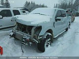 Ford F-Series 1FTEW1EP1MKD75843 снимка