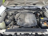 Toyota Tacoma Double Cab V6 5TEMU52N27Z344371 photo