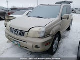 Nissan X-Trail Bonavista Edition JN8BT08V56W211852 fotografie