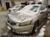 Honda Accord Ex-L 1HGCP268X8A806890 снимка