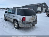 Chevrolet Trailblazer Ls 1GNDT13S742263244 снимка
