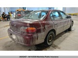 Chevrolet Malibu V6 1G1ND52M2W6143425 fotografie